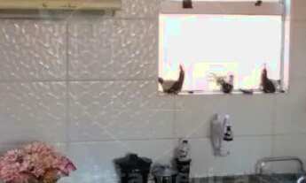 Imagem 6: Apartamento 3 Dormitórios à Venda no Residencial Bourbon, Próximo à Avenida Saul Elkind