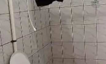 Imagem 6: Casa com 3 quartos tres banheiros para alugar Bosque dos Eucaliptos - São José dos Campos