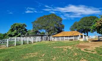 Imagem 5: A fazenda mais barata da região
