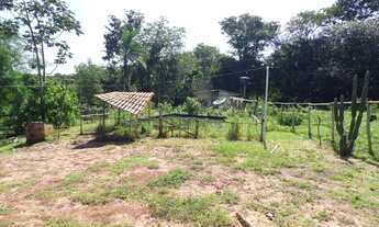 Imagem 5: Sítio 3,22 alqueires com casa, 25 km Uberlândia MG