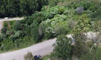 Imagem 6: Terreno no bairro Forqueta em Caxias do Sul