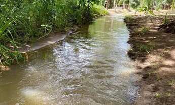 Imagem 5: Fazenda em Cristianópolis - 12 alqueires