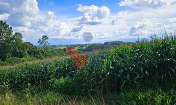 Imagem 5: Área de 36.400m para chácara com bosque e córrego em Catanduvas do Sul