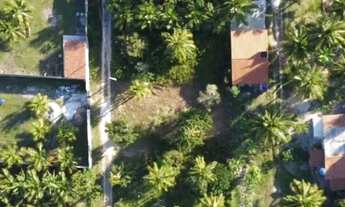 Imagem 2: Vendo terreno em lagoa redonda bem localizado de procedência