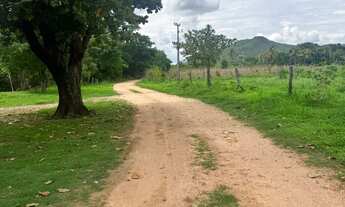 Imagem 3: Vende se chácara na margem do rio gameleira