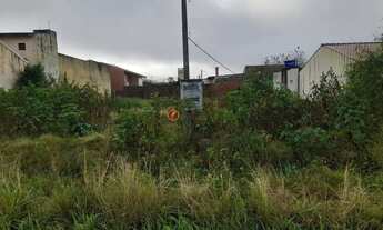 Imagem: Requinte oferece