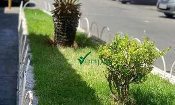 Imagem 3: APARTAMENTO DE 2 QUARTOS EM ÓTIMA LOCALIZAÇÃO, OPORTUNIDADE DE FINANCIAMENTO CAIXA NO PROG