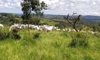 Imagem: Fazenda à venda em Abadiânia, em Goiás