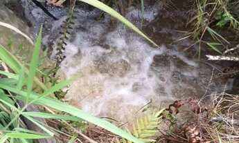 Imagem: Sítio 14 alqueires entre Pinda e Taubaté