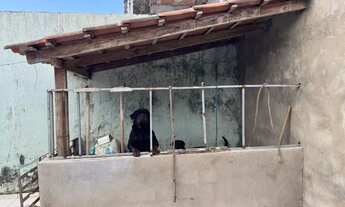 Imagem 4: PONTO COMERCIAL E CASA TERRA A VENDA NA AV MATO GROSSO, CHACARA BRASIL, SUPER VENTILADA