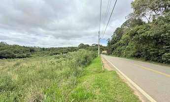 Imagem 6: Imóvel para venda com 13310 metros quadrados em Área Rural de Araucária - Araucária - PR