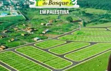 Imagem 4: Terreno Padrão em Palestina