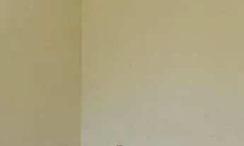 Imagem 3: Alugo Apartamento 02 quartos Centro proximo a catedral