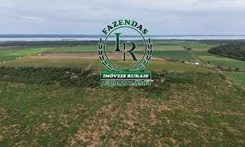 Imagem 3: Chácara de 2.500M² Próximo a Palmas Região do Prata