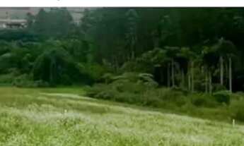 Imagem: 86c- TERRENOS PLANOS EM COTIA COM ÓTIMA