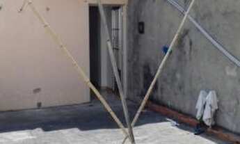 Imagem 4: Casa à venda com 2 dormitórios em Jardim são cristóvão, São paulo cod:2658