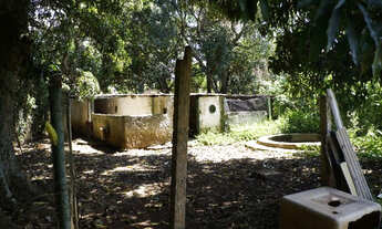 Imagem 6: Lote 10 mil m2- Novo Gama -Jardim Pedregal- metros do centro