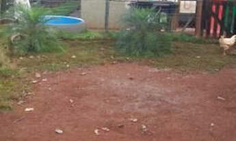 Imagem 4: Sítio com 10.000m² a 27km de Uberlândia