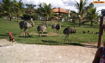 Imagem 6: TERRENO NO CONDOMÍNIO HARAS RESIDENCE