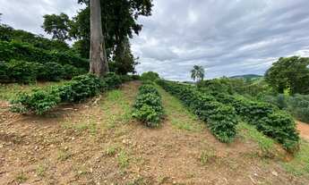 Imagem 3: Sitio a venda em Jacutinga MG