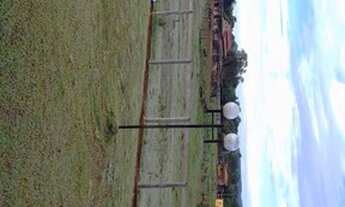 Imagem 6: Oportunidade! Vende-se um espetáculo de fazenda de 50 Alqueires