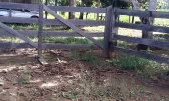 Imagem: Fazenda em rorainopolis