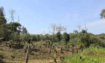 Imagem 5: TERRENOS RESIDENCIAS