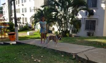 Imagem 5: Condomínio Village das Figueiras, 43 m2 composto de sala, 2 quartos, cozinha, banheiro e