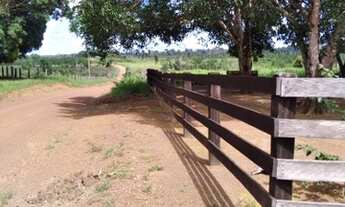 Imagem 3: Fazenda em rorainopolis