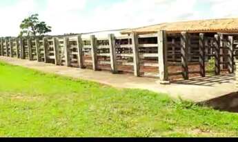 Imagem 2: Fazenda na Zona Rural de Cruz das Almas