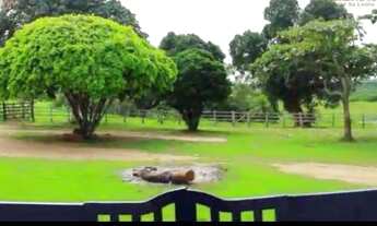 Imagem 5: Fazenda na Zona Rural de Cruz das Almas