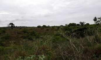 Imagem 7: TERRENO EM CAJAZEIRAS DE ABRANTES