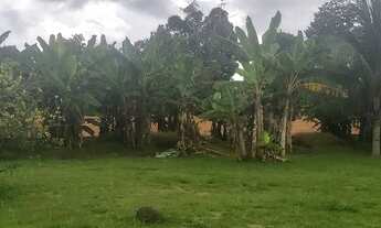 Imagem 5: Sítio em Itacoatiara com 15.000m²