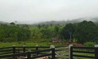 Imagem 2: Fazenda com 25 alqueires, com 19 alqueires de Pastos - Novo Repartimento - PA