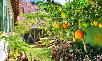 Imagem 3: Tranquilidade em Meio a Natureza