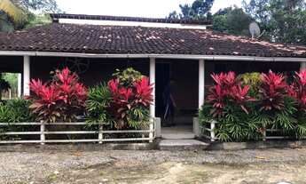 Imagem: Propriedade Rural em Escada-PE com 30 hectares