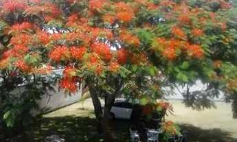 Imagem 5: Vendo casa Nova Almeida pertinho do centro