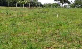 Imagem 3: Chácara com 1 dormitório à venda, 3942 m² por R$ 160.000 - Ferraria - Campo Largo/PR