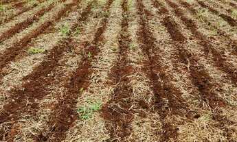 Imagem 2: Fazenda a venda Fazenda / sítio com venda por R$45.000.000