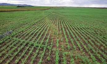 Imagem 4: Fazenda a venda Fazenda / sítio com venda por R$45.000.000