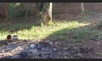 Imagem 3: Terreno em Menino Deus