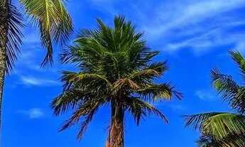 Imagem 2: Apartamento mobiliado com Wifi e TV - Canto do Forte - Praia Grande