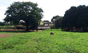 Imagem 6: Fazenda de 40 Alqueires em Santa Tereza GO