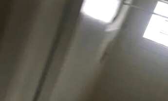 Imagem 5: CURITIBA - Casa Padrão - XAXIM