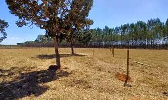 Imagem 3: Chácaras em guapo sendo 3 km e meio apenas da cidade !