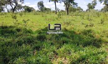 Imagem 5: Fazenyde 80 Alqueires a 90 km de Goiânia