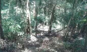 Imagem 2: São Paulo - Terreno Padrão - Tucuruvi