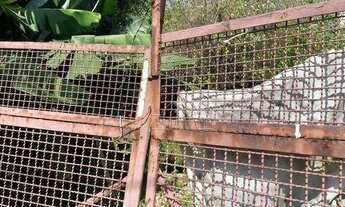 Imagem 4: Terreno à venda, 1000 m² por R$ 2.200.000,00 - São José - São Caetano do Sul/SP