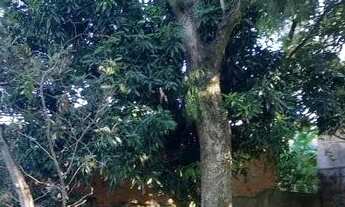 Imagem 7: Terreno em Menino Deus