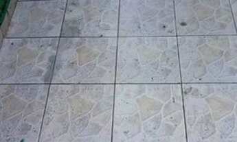 Imagem 2: Aluga-se uma Casa no Bairro Sítio do Campo ( Tude Bastos ) em Praia Grande